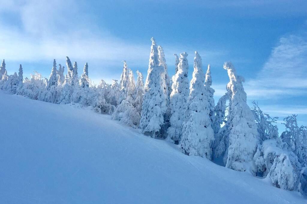 The Mountainside By Escapades Tremblant Διαμέρισμα Μοντ Τρεμπλάν Εξωτερικό φωτογραφία