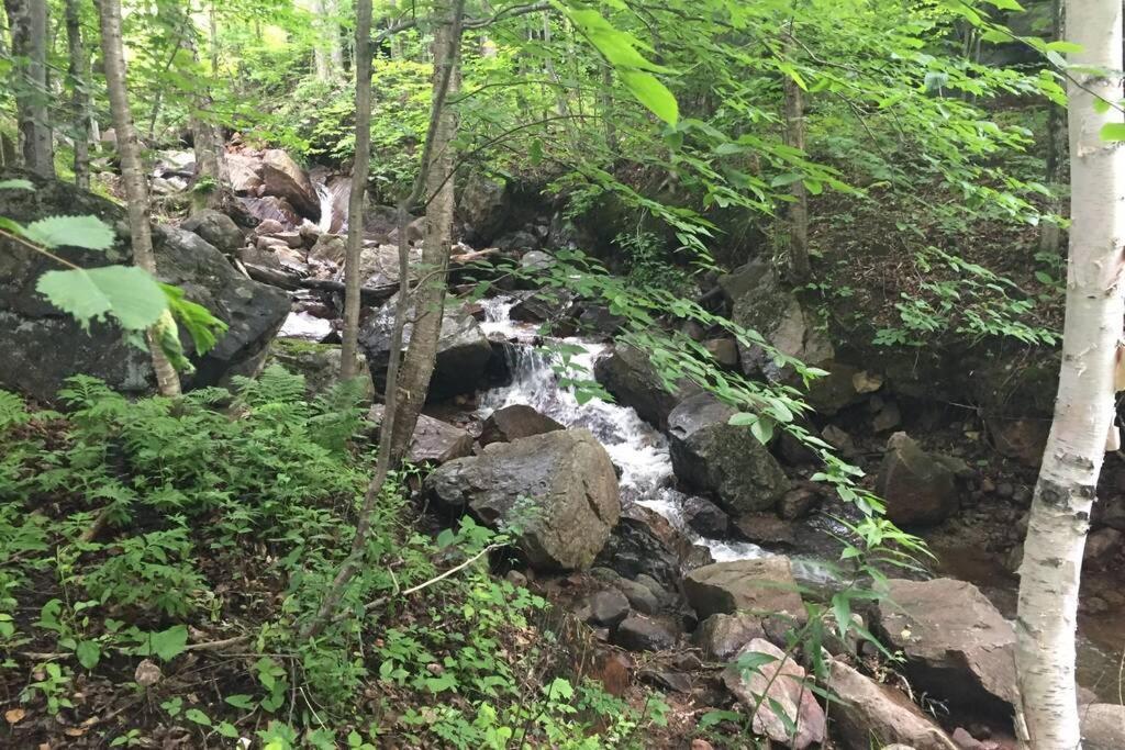 The Mountainside By Escapades Tremblant Διαμέρισμα Μοντ Τρεμπλάν Εξωτερικό φωτογραφία
